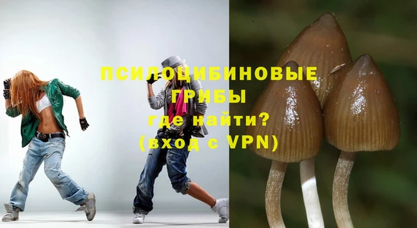 гашик Краснослободск