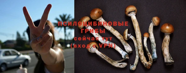 гашик Краснослободск