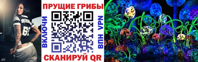 Псилоцибиновые грибы прущие грибы  Купить закладки  Бирюсинск 